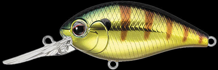 Evergreen CR Crankbaits CR-6 / Oki Gold