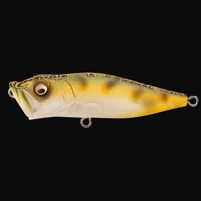 Megabass Pop-X