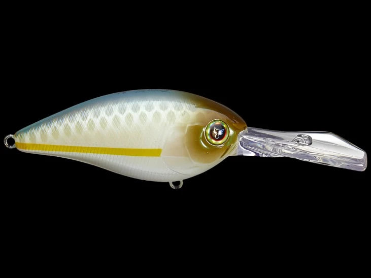 JACKALL - bristol837 Jackall Digle Crankbaits – Anglers Choice Marine Tackle Shop