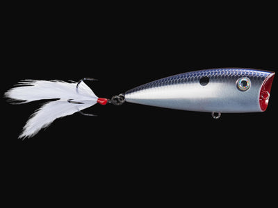 Strike King HC KVD Splash Popper