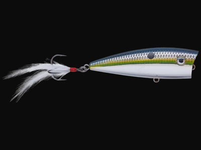 Strike King HC KVD Splash Popper