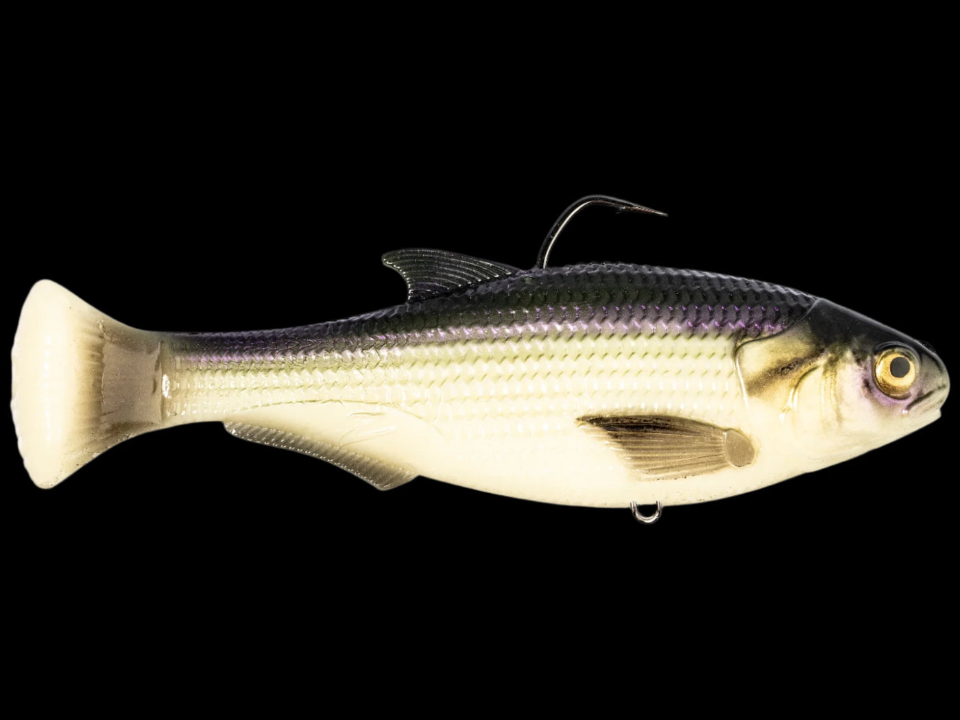 Z-Man Shadtron LT Swimbait