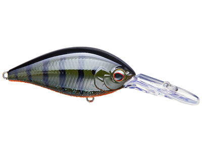 Evergreen CR Crankbaits