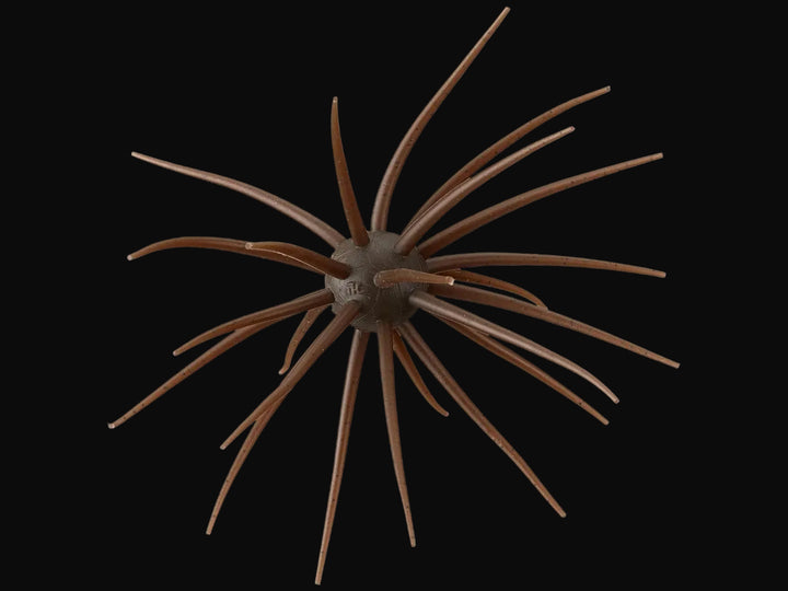 Hideup Coike 17mm Creature Bait – Anglers Choice Marine Tackle Shop