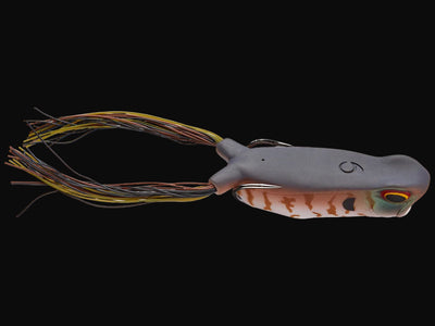 6th Sense - Vega Frog