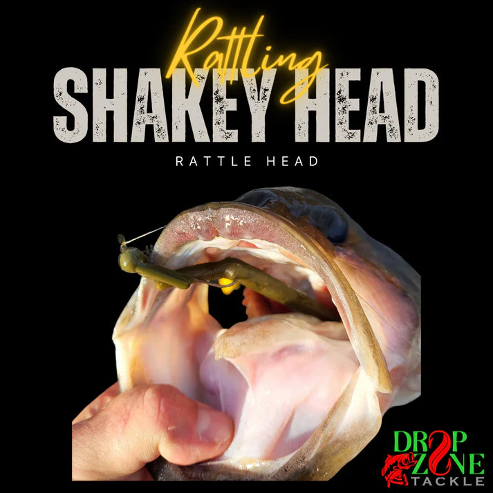 Drop Zone - Rattle Head
