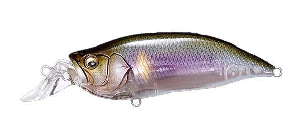 Megabass IxI Shad Type-R