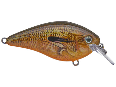 Strike King KVD 1.5 HC Squarebill Crankbait