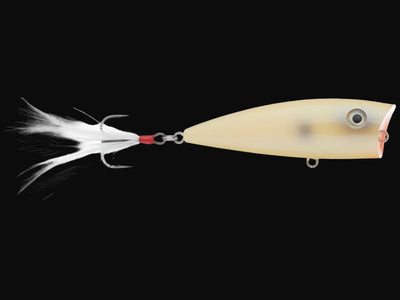 Strike King HC KVD Splash Popper