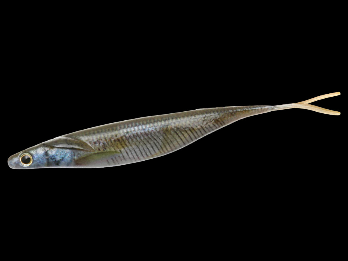 Sakamata Shad Real