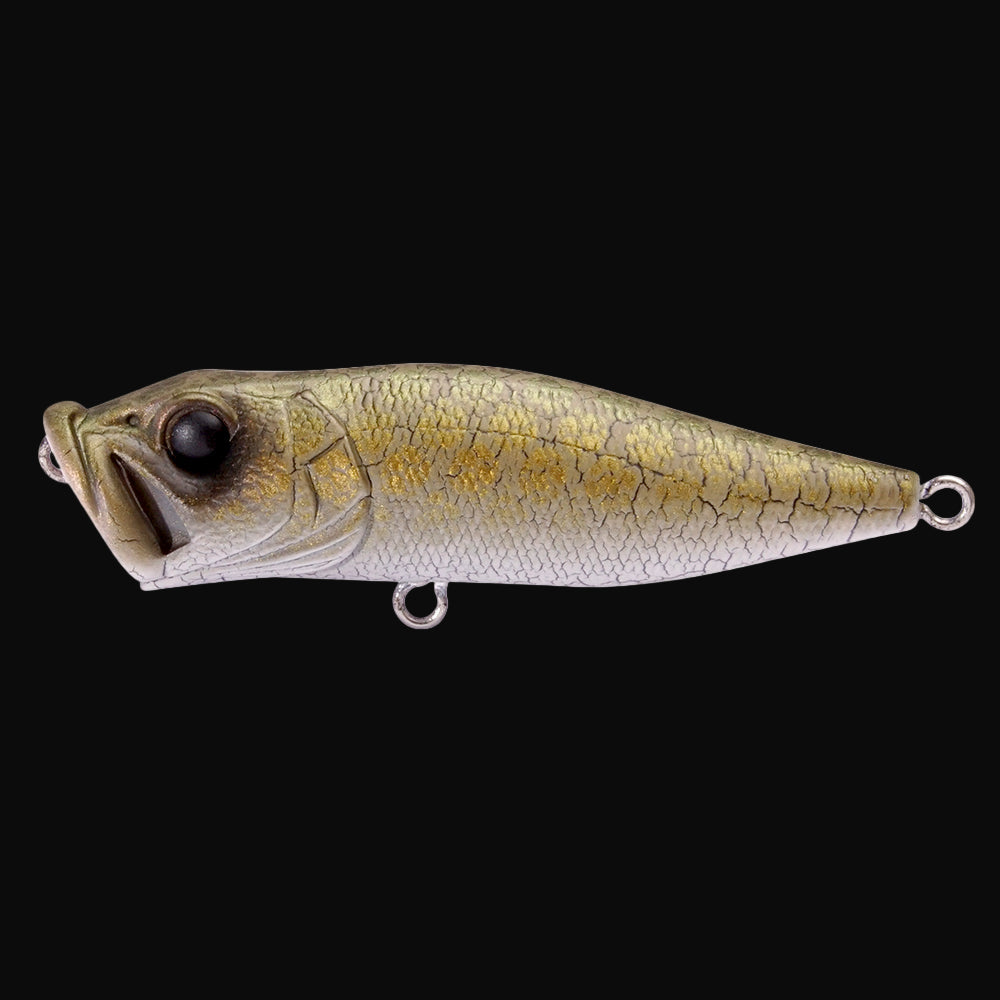 Megabass Pop-X