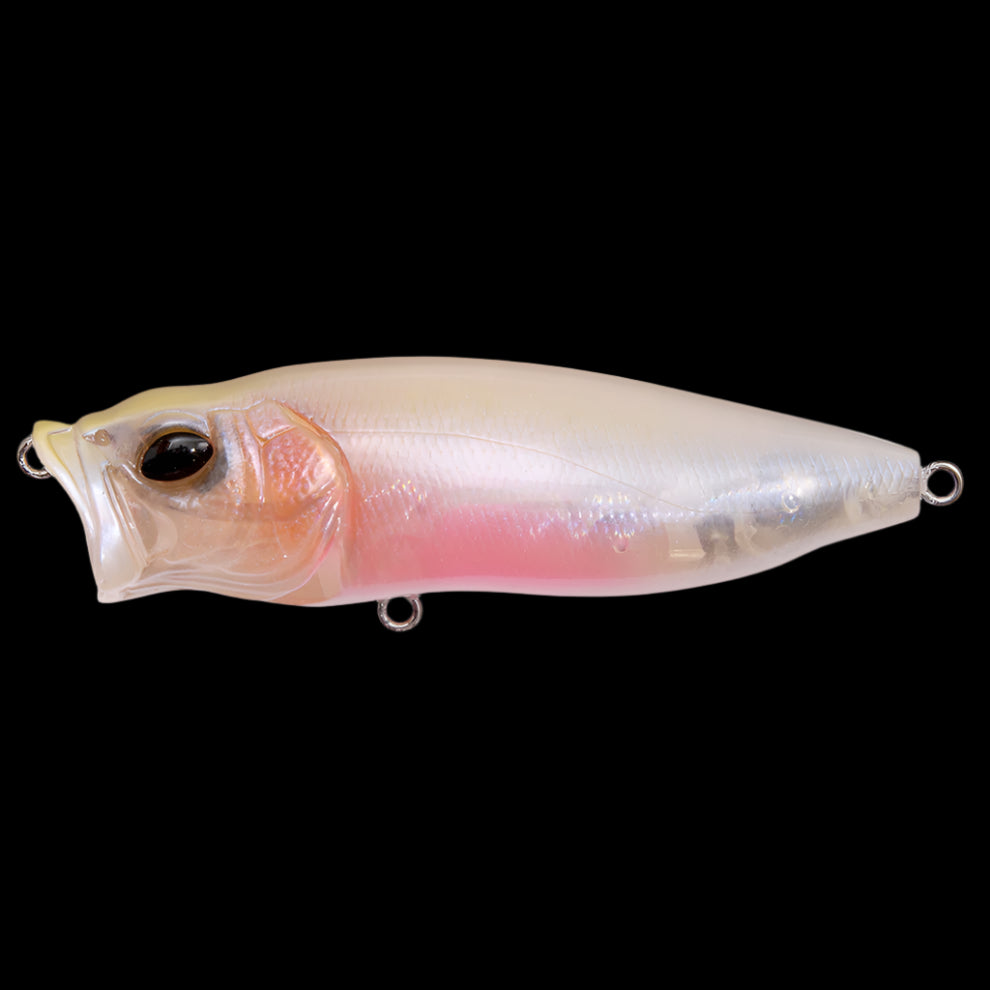 Megabass Bassmaster 2025 - GP Baby Kingyo – Anglers Choice Marine Megabass Bassmaster 2025 - GP Baby Kingyo – Anglers Choice Marine