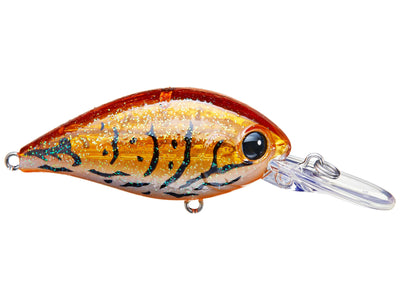 Evergreen CR Crankbaits