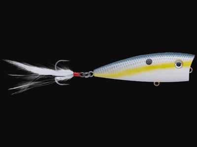 Strike King HC KVD Splash Popper