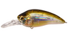 Megabass Vision 110 - Fine Art, SP-C & Limited Runs
