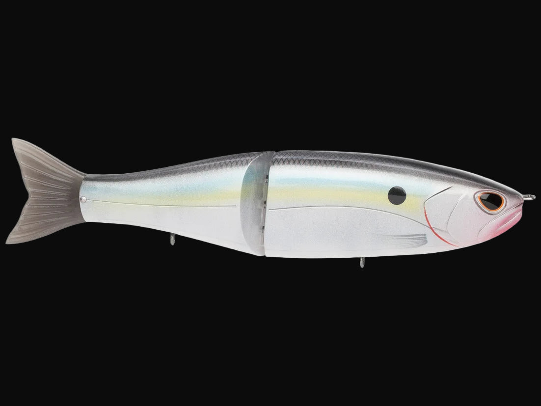 Storm Arashi Glide Glide Bait