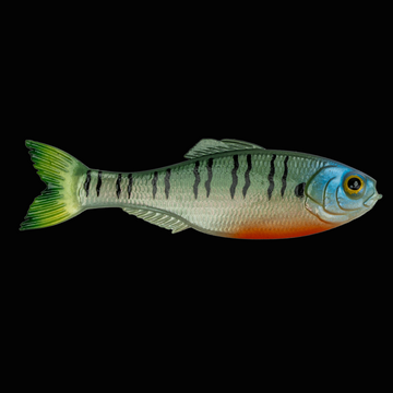 6th Sense Panorama Swimbait