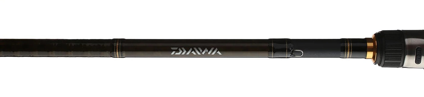 Daiwa Aird X Casting Rods