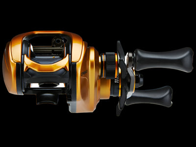 Lew's Custom Pro Gen 3 Casting Reel