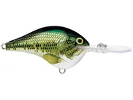 Rapala DT Series Crankbaits DT-20