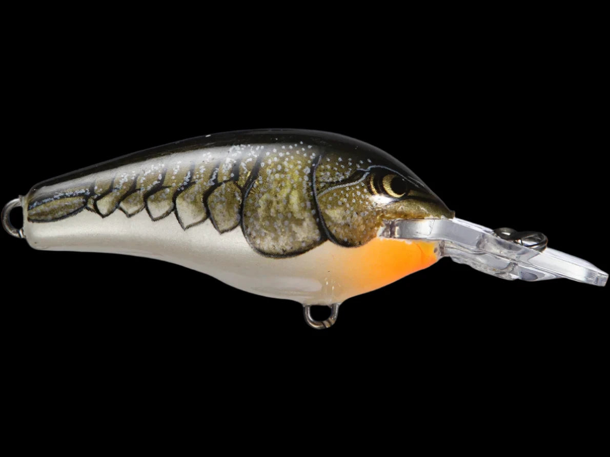 Rapala Fat Rap Crankbaits