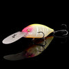 Megabass Respect Serries 89 - IF Hachiro