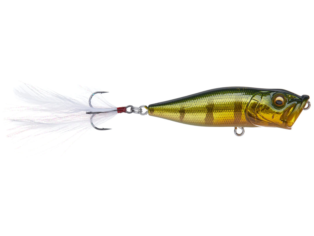 Megabass Pop-X – Anglers Choice Marine Tackle Shop