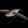 Megabass Respect Serries 93 - Mat Blue Shiner