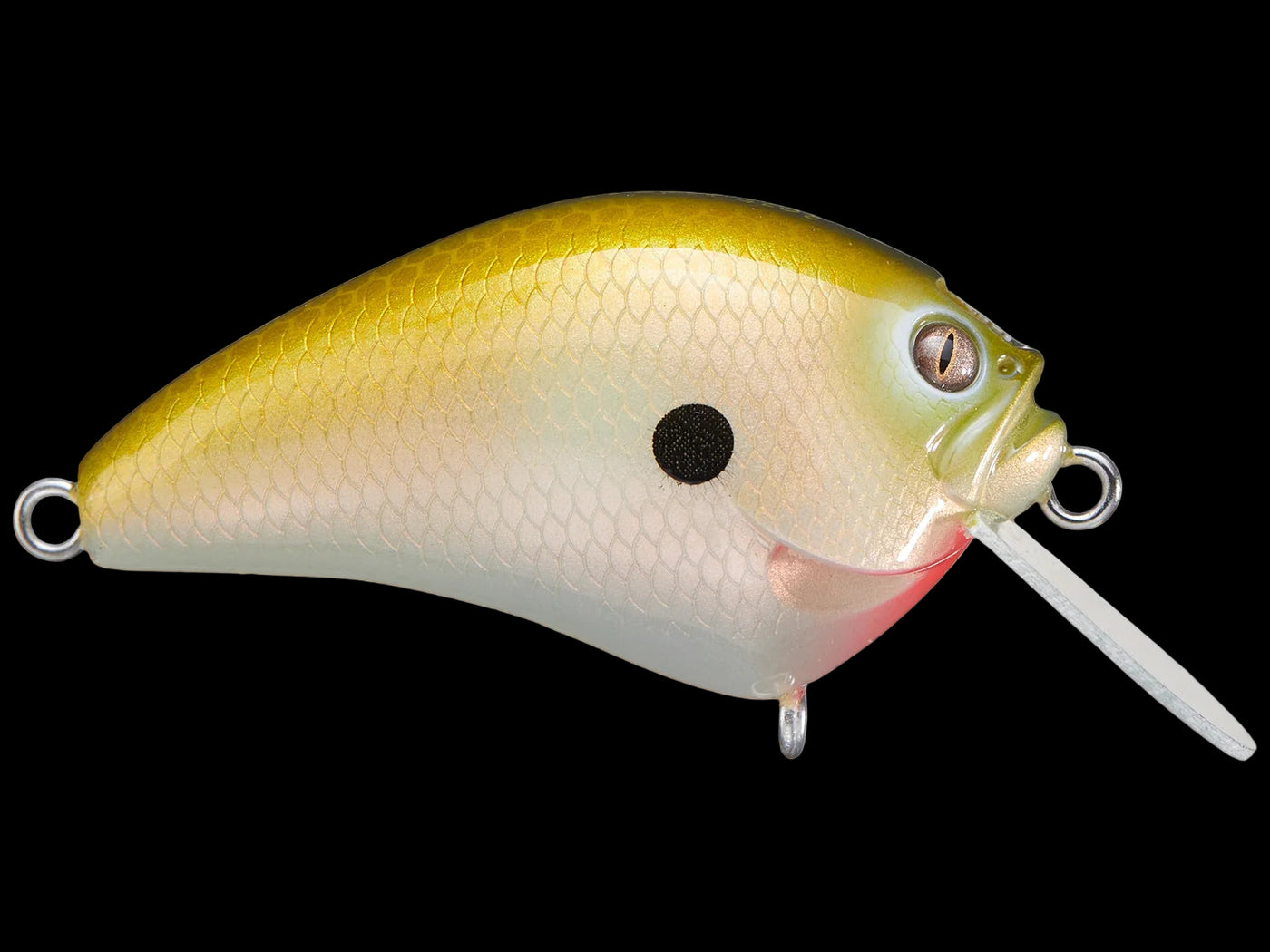 Megabass IXI Blowly Crankbait