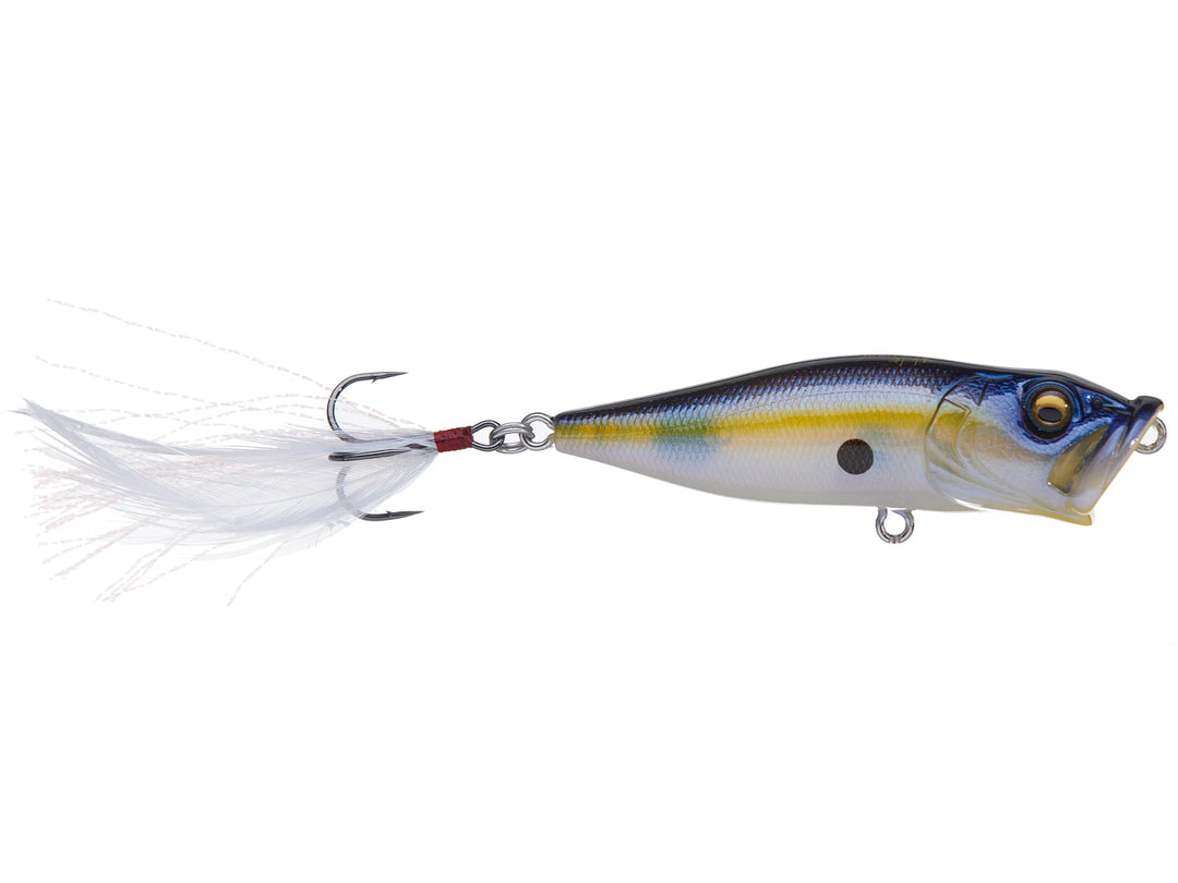 Megabass Pop-X – Anglers Choice Marine Tackle Shop