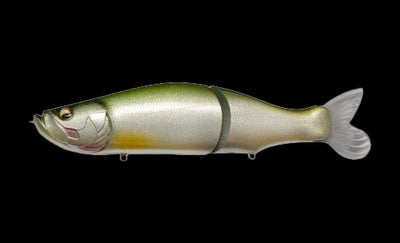 Megabass I-Slide 262T