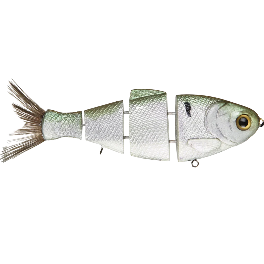 bull shad fishing lure Bull Shad 5" – Anglers Choice Marine Tackle Shop