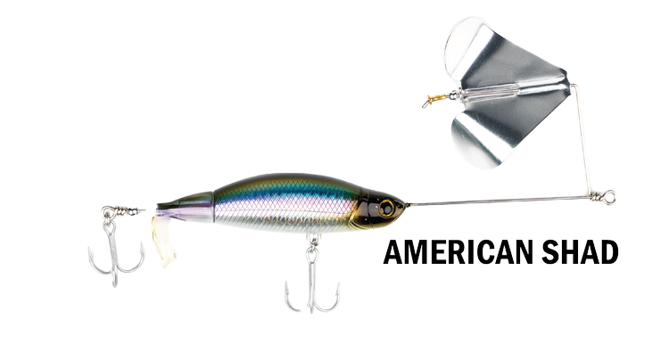 Proper Buzz American Shad