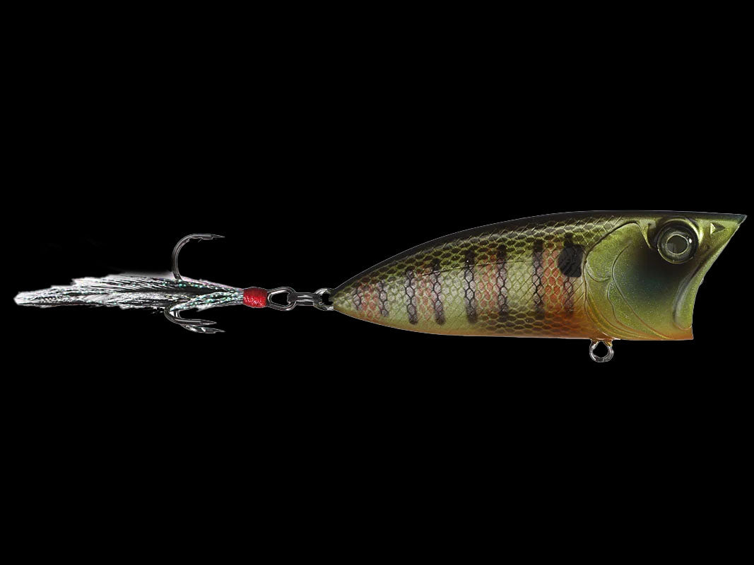 Top Water – Anglers Choice Marine Tackle Shop