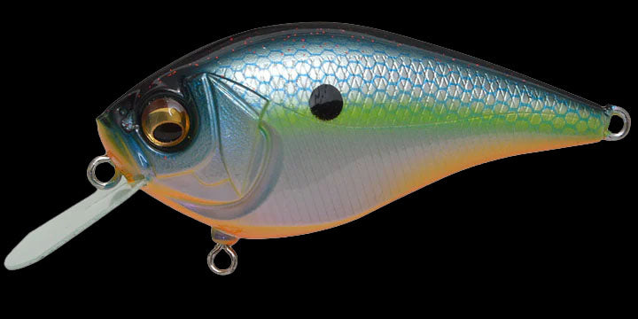 消費税無し Choice Anglers – Jr. Knuckle Megabass Marine Shop Tackle ルアー・フライ