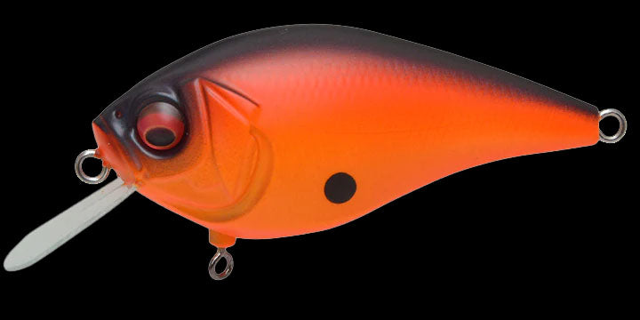 【最新入荷】 – Jr. Knuckle Megabass Anglers Shop Tackle Marine Choice ルアー・フライ