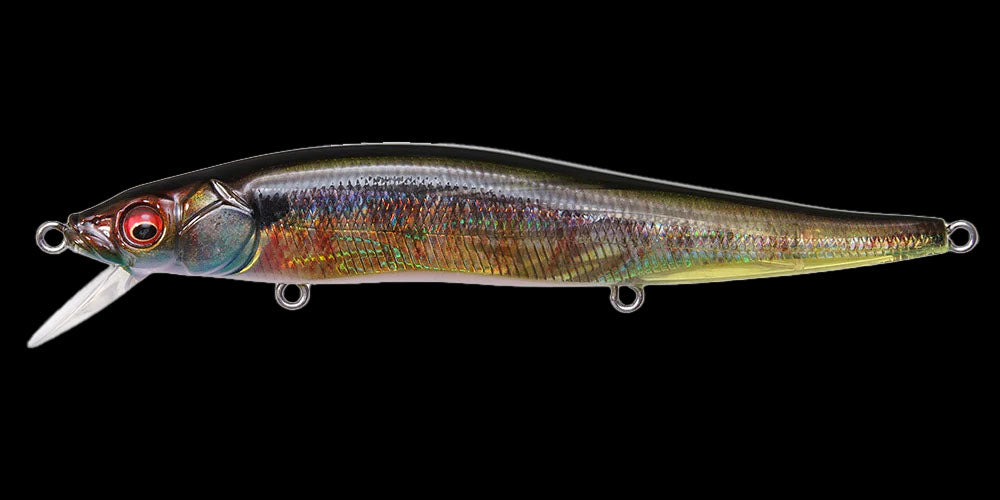 Megabass – ACM Tackle