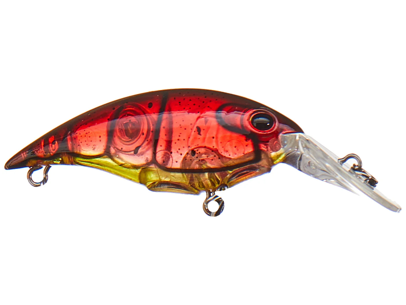Fish Fop Berkley Money Badger Crankbaits – Anglers Choice Marine Tackle Shop