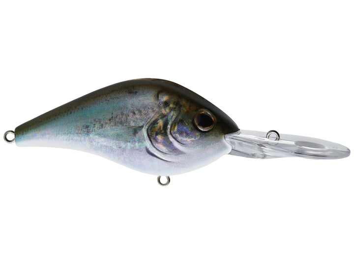 dredger fishing lure Berkley 20.5 HD Blueback Herring 26ftUpgrade Your Treble Hooks! Classic tinned fish subscription Model:SB300JL | Left Hand 7’6″ Rod