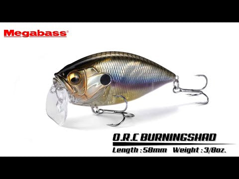 Megabass O.R.C. Burning Shad