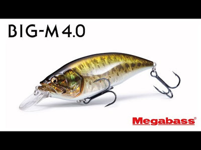 Megabass Big-M 4.0