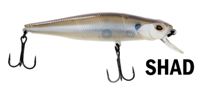 G-Ratt JERK BAIT GB-100 SP