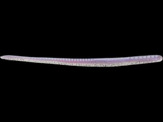 Roboworm Fat Straight Tail Worms