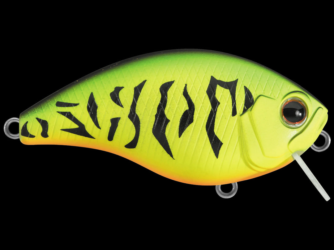 Daiwa Evergreen CH CRANKBAIT 1 FEET – Root Beer Color Fishing Lure