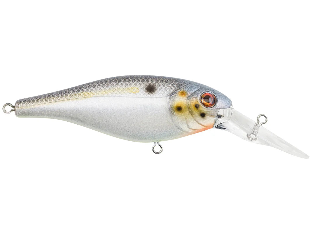 berkley bad shad fishing bait Abu Garcia Ambassadeur 6500LC At 6 and 34gr Color:Matte Brown fishing armory
