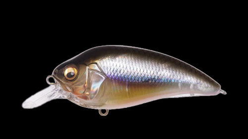 Megabass Cookai Gulf CKG-77MS Sawara Special for Jerking