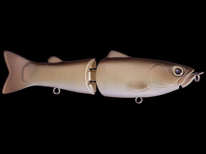 wildcarp_720x.jpg?v=1657211828